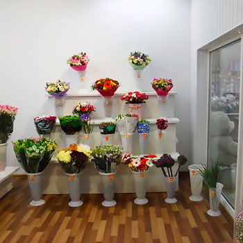 Флорацентр